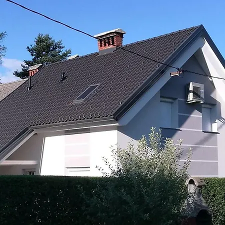 Boomerang ブレッド